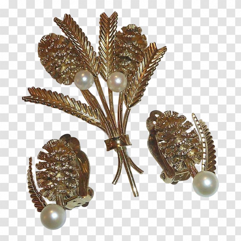 Jewellery Brooch - Pine Cone Transparent PNG