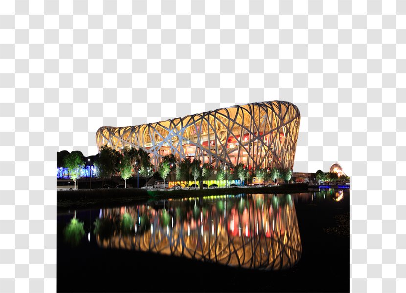 Beijing National Stadium Edible Birds Nest Google Images - Structure - Bird's Transparent PNG