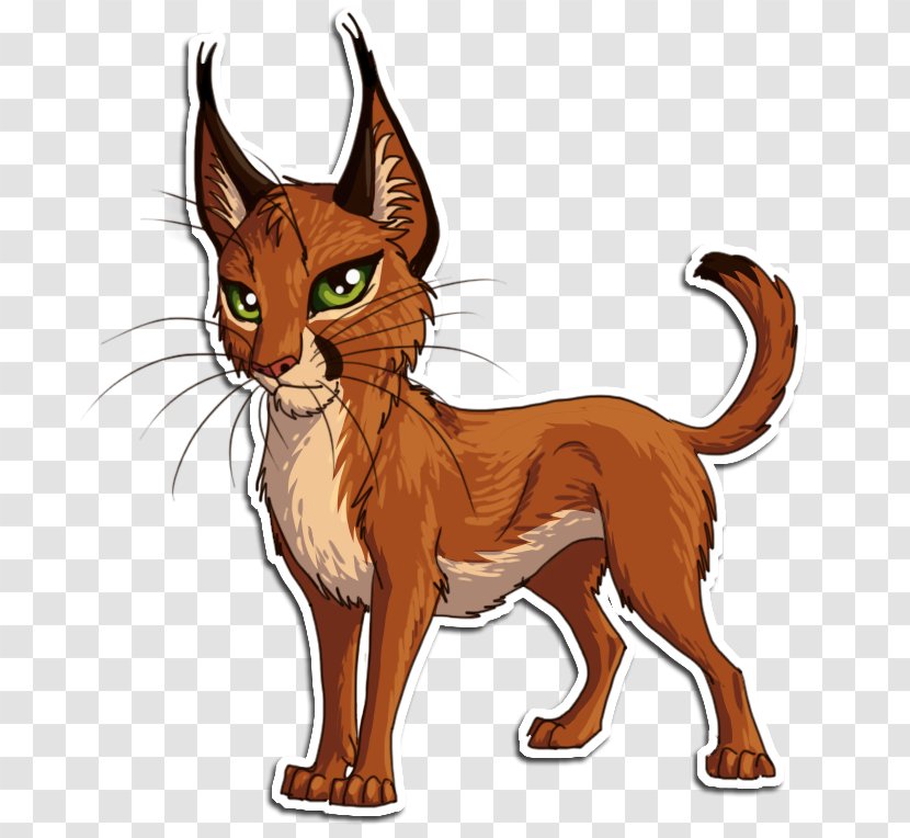 Whiskers Wildcat Red Fox Dog - Tail - Cat Transparent PNG