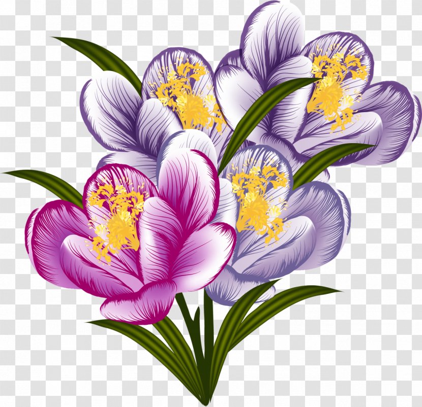 Flower Purple Clip Art - Crocus Transparent PNG