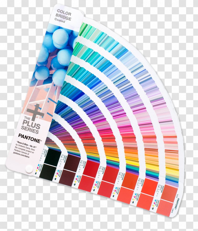 Web Colors Pantone Design Hexadecimal - Color Scheme Transparent PNG