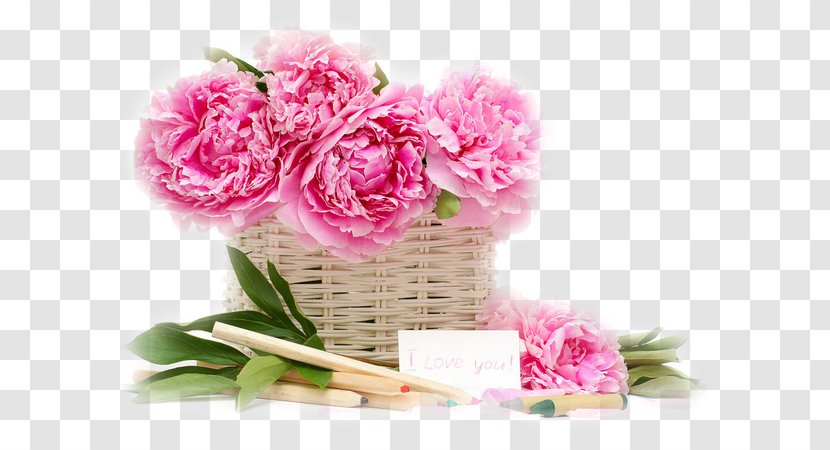 Rose Flower Desktop Wallpaper Image GIF - Gift Transparent PNG
