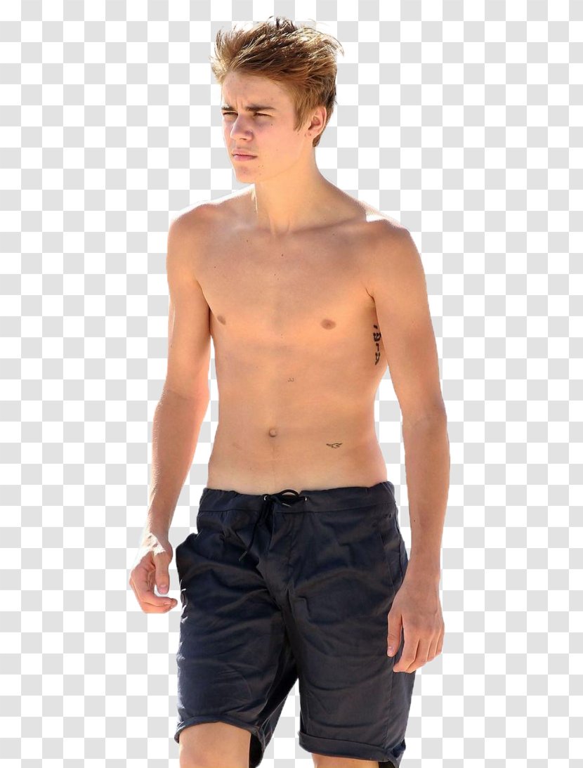 Justin Bieber YouTube 0 Hollywood Beliebers - Tree Transparent PNG