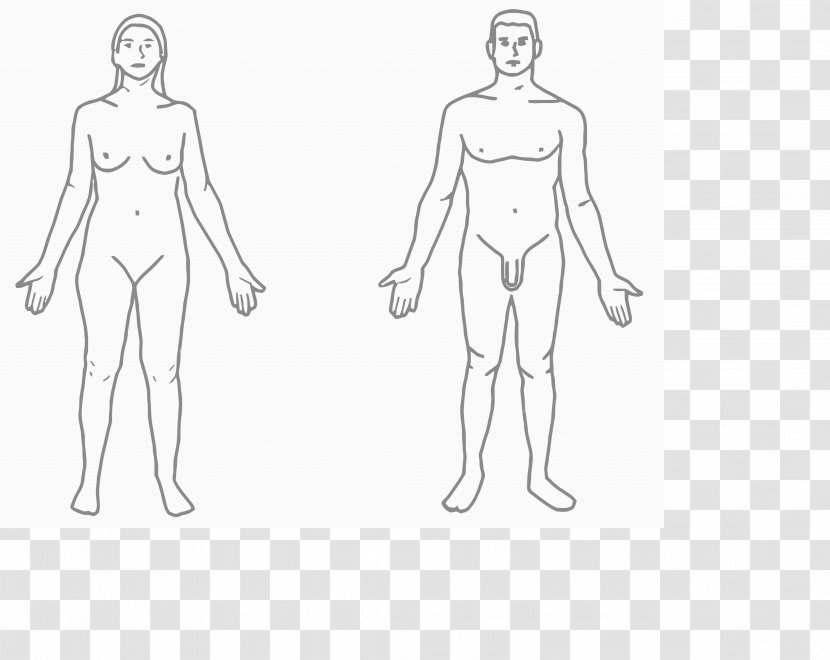Human Body Female Shape Hip Arm - Frame Transparent PNG