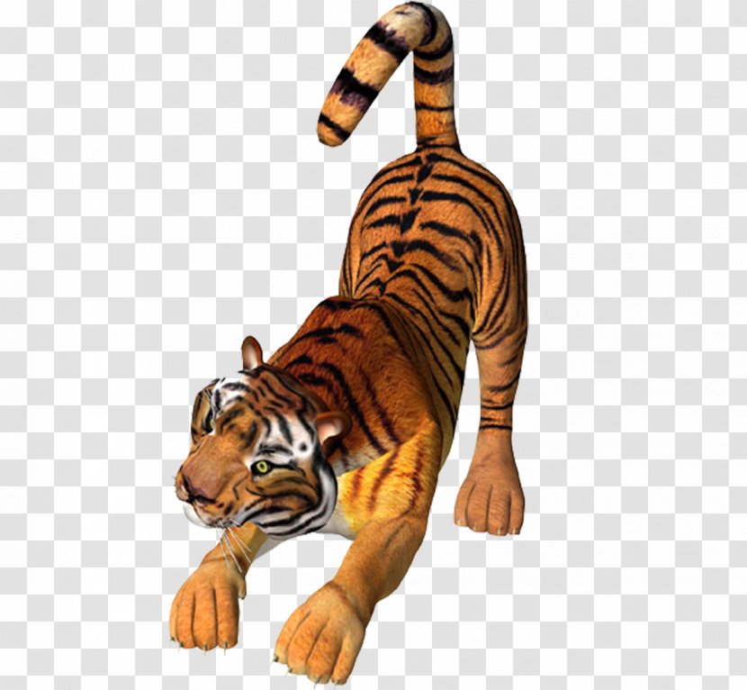 Tiger Lion Cat - Photography - Picture Material Transparent PNG