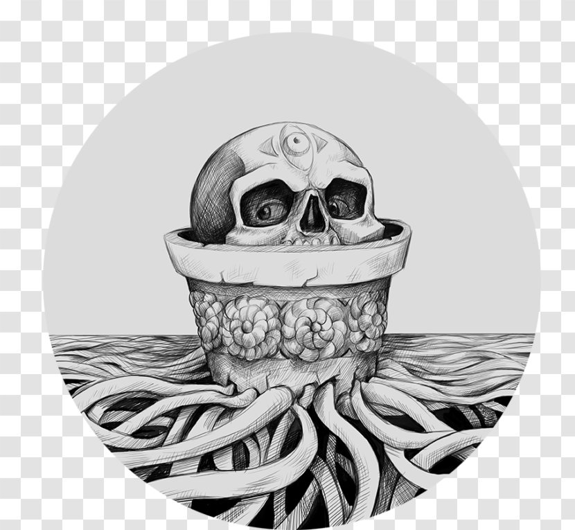 Drawing Art Digital Painting Sketch - Work Of - Octopus Transparent PNG