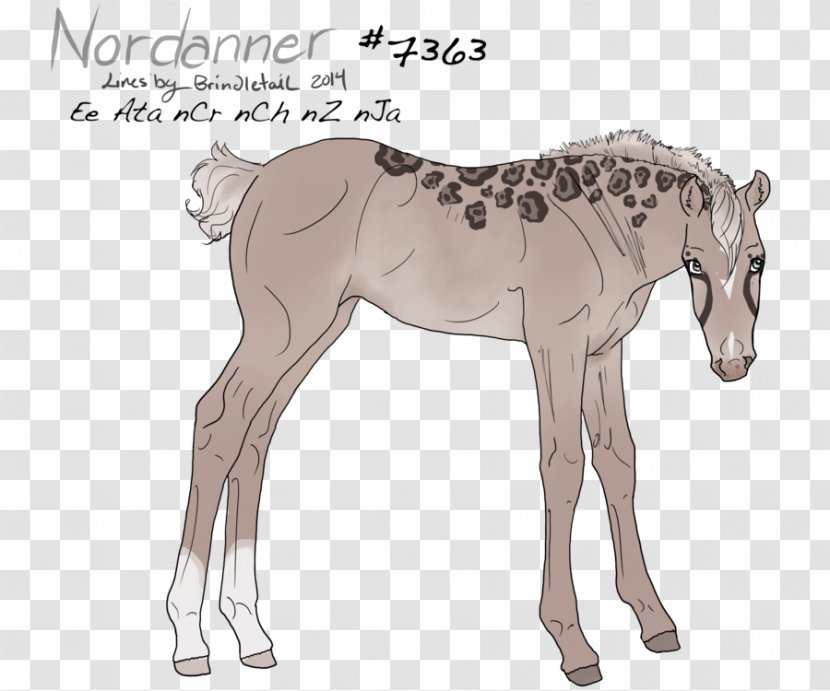 Mule Foal Stallion Colt Mare - Cartoon - Mustang Transparent PNG