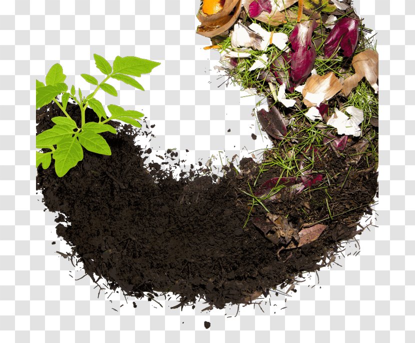 Compost Recycling Sustainability Food Waste Biodegradable - Mulch Transparent PNG
