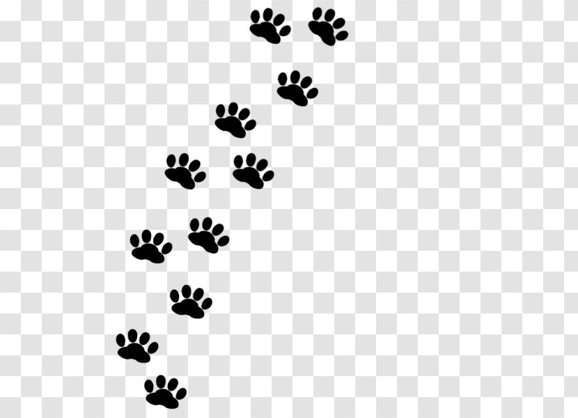 Footprint Paw Siamese Cat Scottish Fold Cymric - Persian - Monochrome Transparent PNG