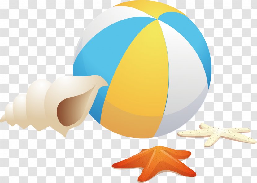 Beach Ball GMD Computer File - Sea - Conch Starfish Vector Transparent PNG