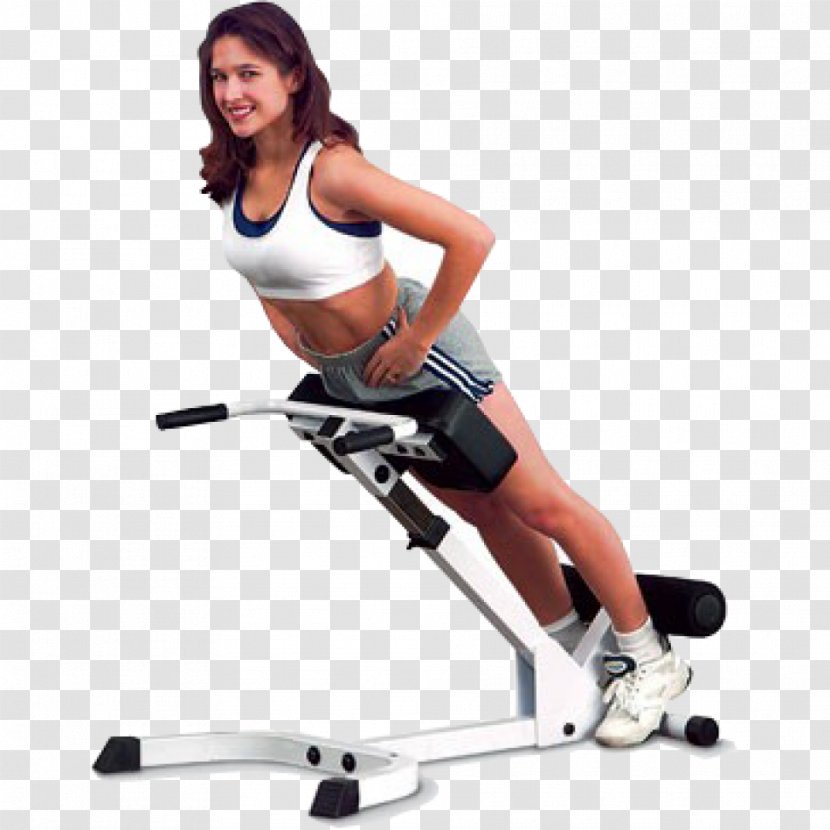 Hyperextension Roman Chair Exercise Machine Bench Press - Tree - Abs Transparent PNG