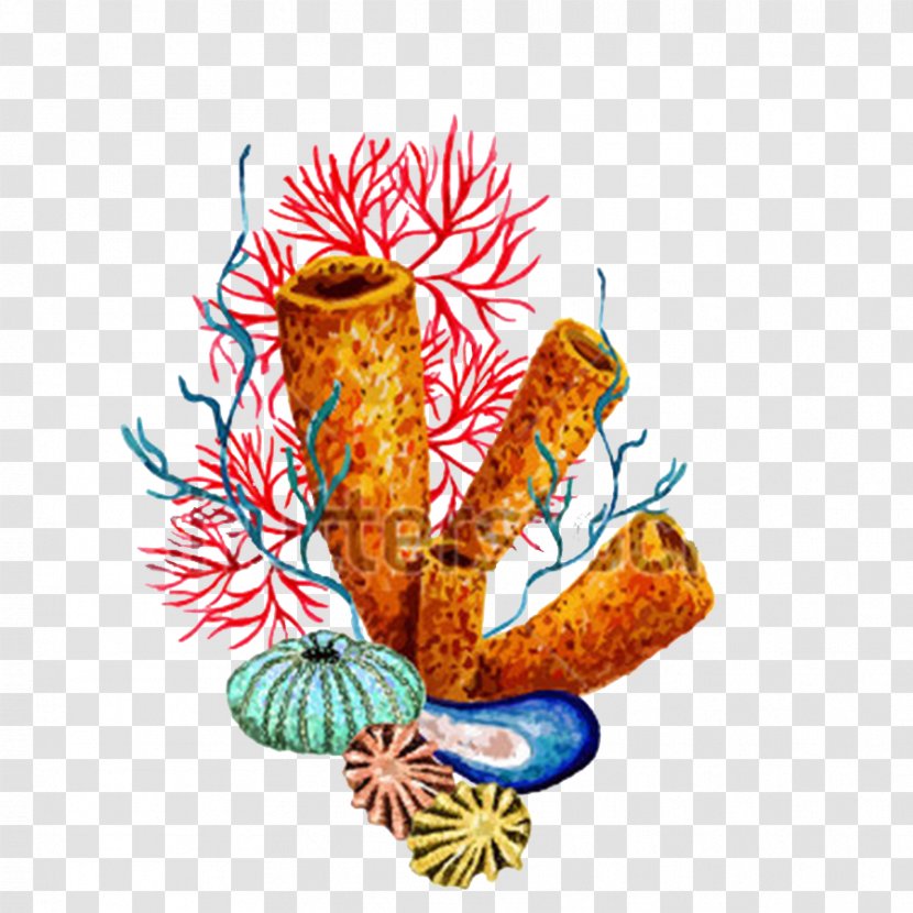 Sea Urchin Invertebrate Watercolor Painting - Tree Transparent PNG