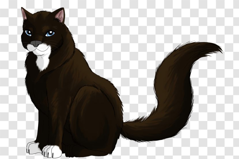 Whiskers Cat Fur Character Puma Transparent PNG
