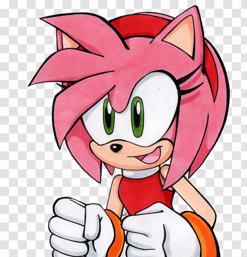 Amy Rose Sonic The Hedgehog Drawing Character - Flower Transparent PNG