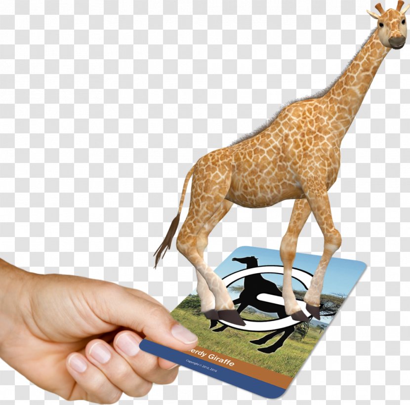 Education Giraffe Learning School Augmented Reality - Fauna - Dimensional Cards Transparent PNG