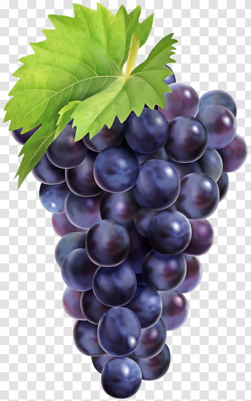 Grape Seedless Fruit Fruit Grape Leaves Grapevine Family Transparent PNG