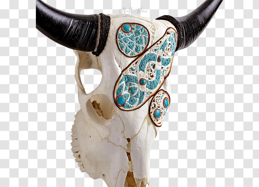 Cattle Turquoise Skull XL Horns Transparent PNG