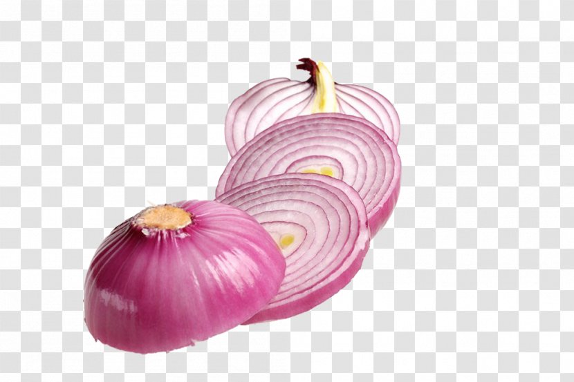 Onion Vegetable Comb - Magenta Transparent PNG