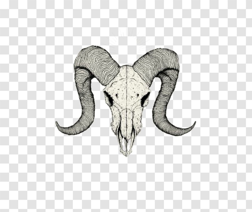 Skull Tattoo Drawing Sketch - Symbol - Goat Transparent PNG