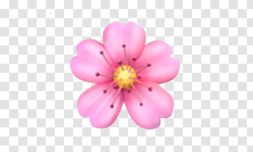 Emoji Domain Flower - Emoticon Transparent PNG