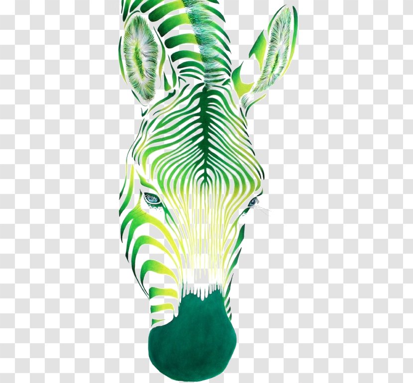 Zebra Watercolor Painting Drawing - Art - Green Horse Image Transparent PNG
