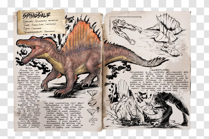 ARK: Survival Evolved Spinosaurus Allosaurus Dinosaur Triceratops - Sarcosuchus Transparent PNG