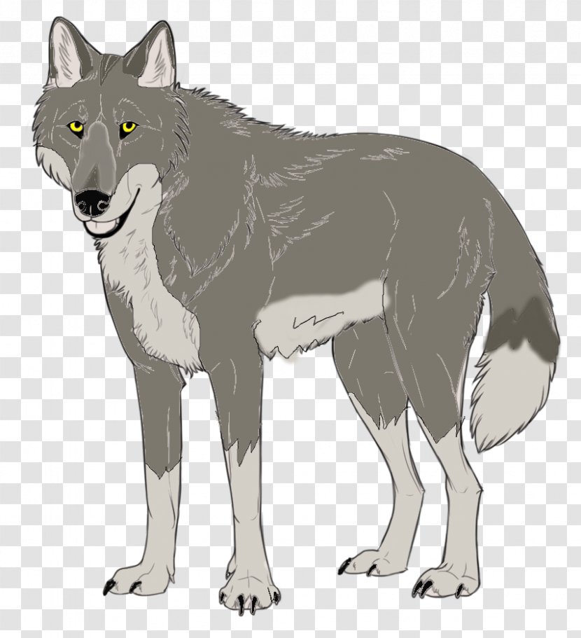 Saarloos Wolfdog Czechoslovakian Coyote Gray Wolf Red - Fur - New Entry Transparent PNG