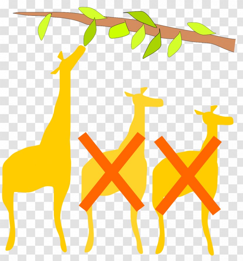Giraffe Giraffidae Yellow Line Wildlife - Animal Figure Transparent PNG