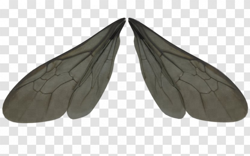 Insect Wing Dragonfly Clip Art - Free Photos Transparent PNG