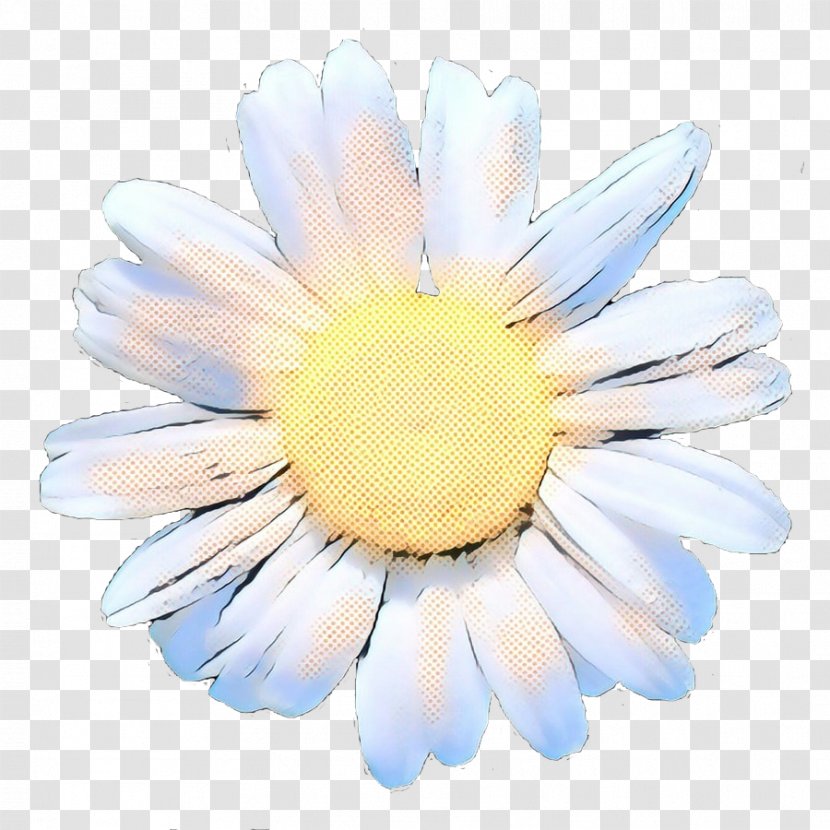 Drawing Of Family - Wildflower - Marguerite Daisy Transparent PNG