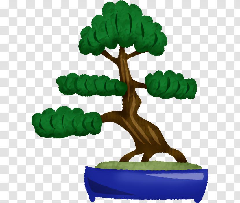 Bonsai Flowerpot M-tree Tree Transparent PNG