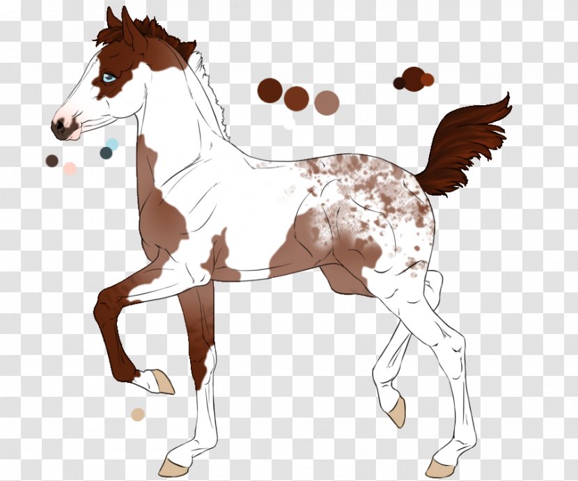 Mane Mustang Foal Colt Stallion - Horse Transparent PNG