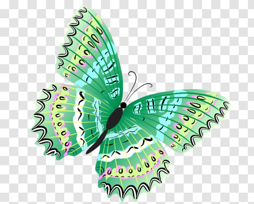 Clip Art Image Openclipart Transparency - Arthropod - Romantic Butterfly Transparent PNG