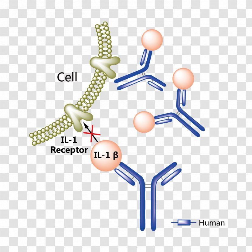 Canakinumab Ixekizumab Food And Drug Administration Bevacizumab Mechanism Of Action - Subcutaneous Injection Transparent PNG