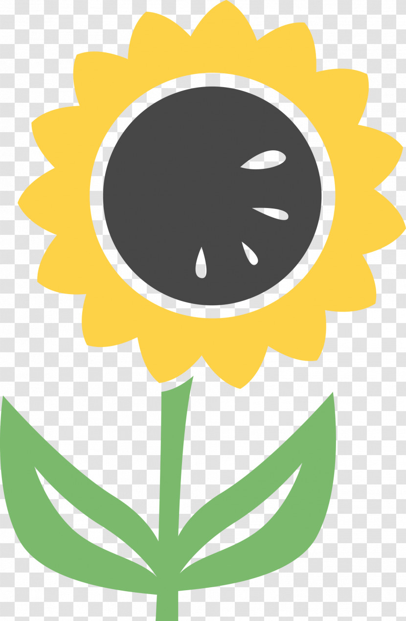 Sunflower Summer Transparent PNG