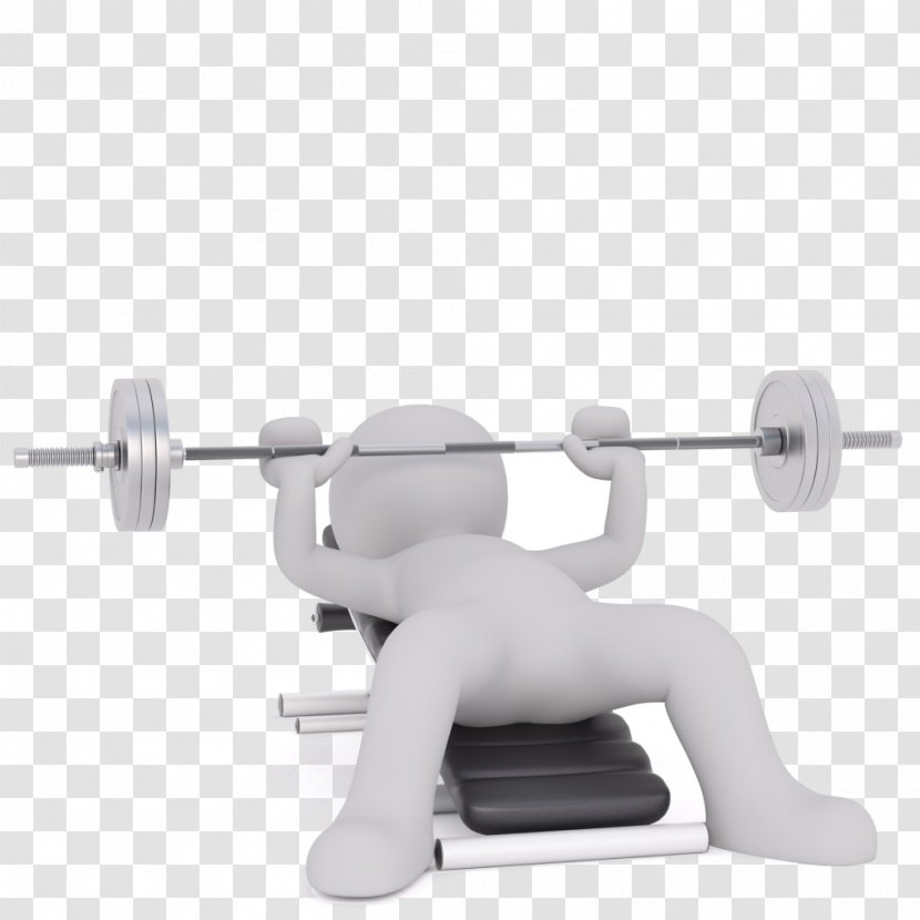 Weight Training Physical Exercise Fitness Centre Strength - Sports Equipment - Barbell Transparent PNG