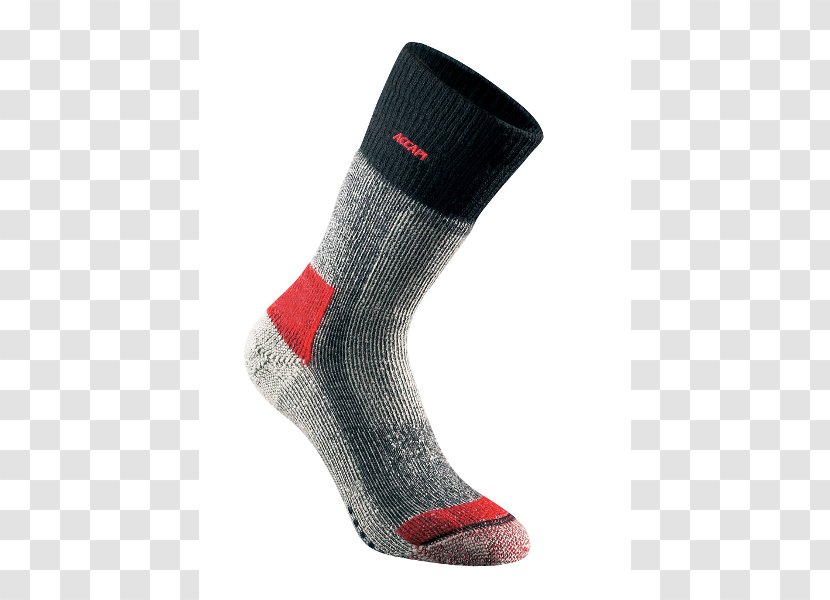 Sock Sport Clothing Technology Thorlo Inc. - Long Socks Transparent PNG