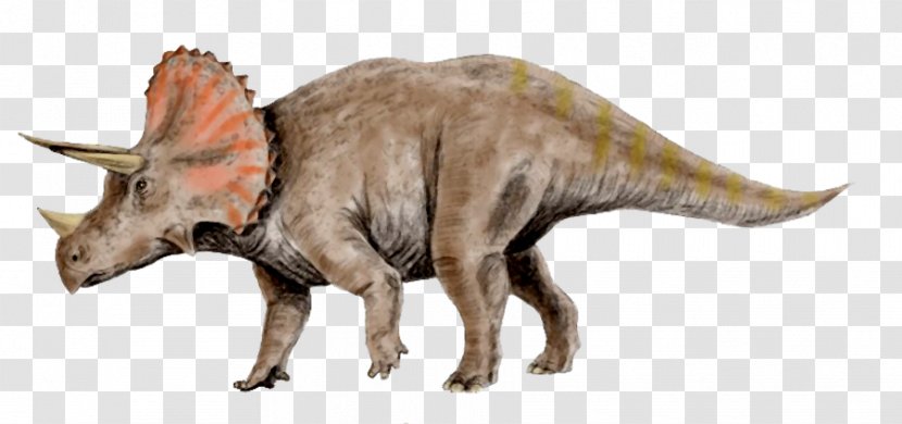 Triceratops Tyrannosaurus Pachyrhinosaurus Utahceratops Torosaurus - Dinosaur Transparent PNG