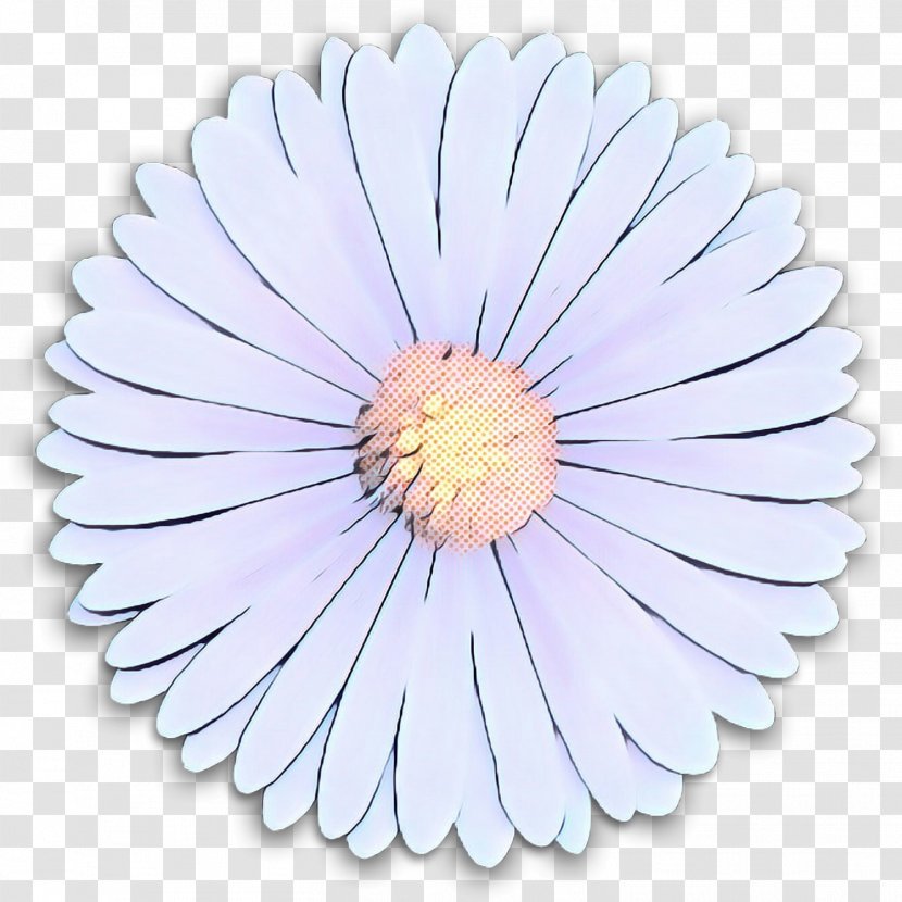 Transvaal Daisy Cut Flowers Purple Petal - Flower - Camomile Transparent PNG