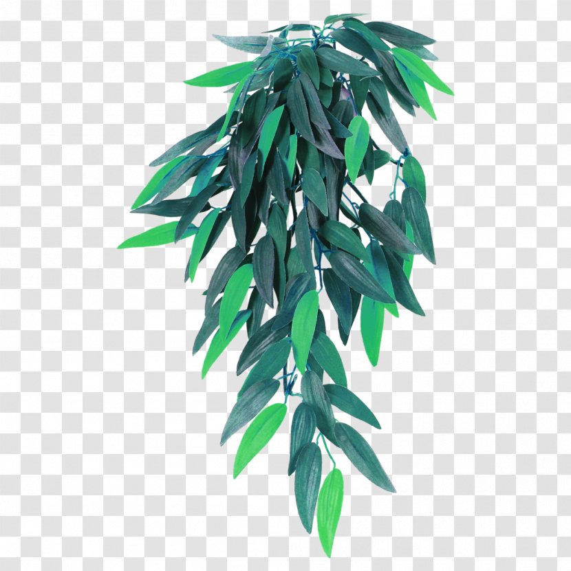 Houseplant Arecaceae Hanging Basket Flowerpot Plant - Liana Transparent PNG