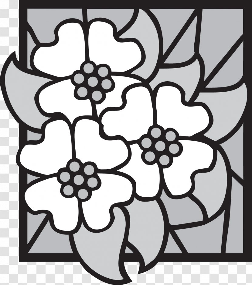 Cut Flowers Floral Design Symmetry Pattern - Monochrome - Flower Transparent PNG