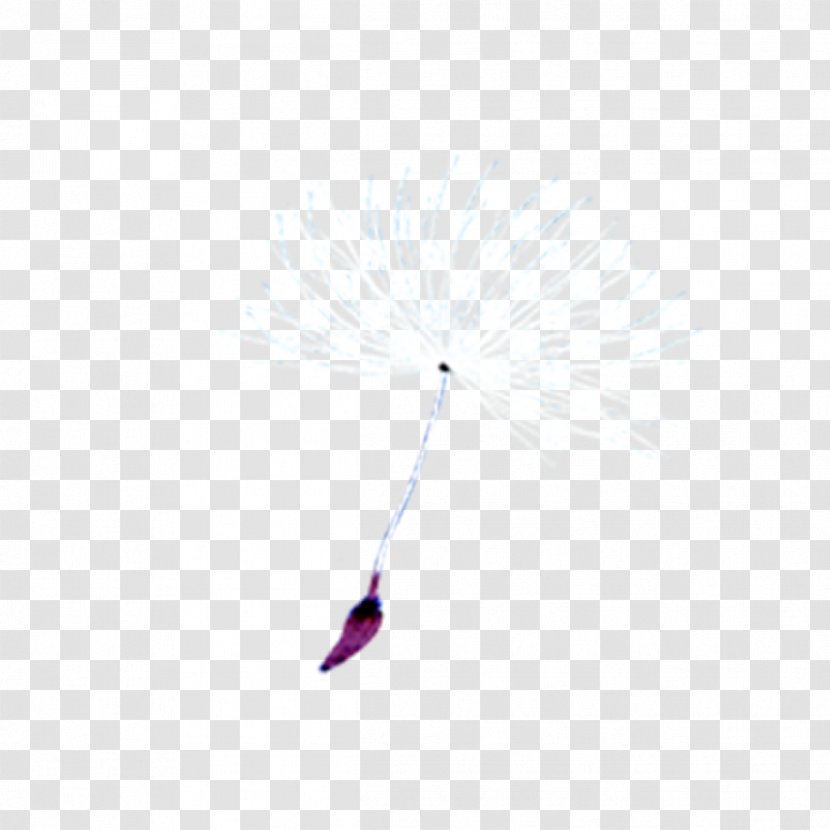 Dandelion Google Images - Purple Transparent PNG