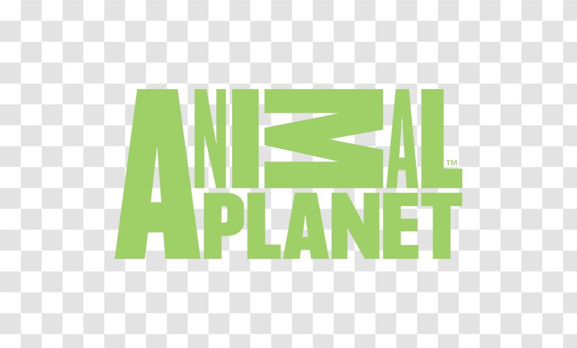 Animal Planet Logo Schoolagenda Brand Television Channel - Grass Transparent PNG