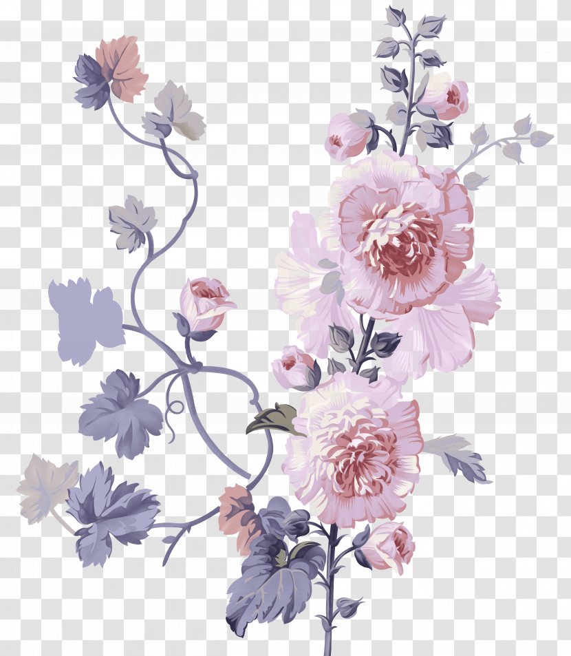Flower Painting - Flowering Plant - Chrysanthemum Transparent PNG