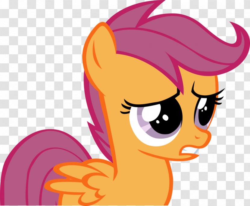 Scootaloo Rainbow Dash Pony Pinkie Pie Apple Bloom - Silhouette - Frame Transparent PNG