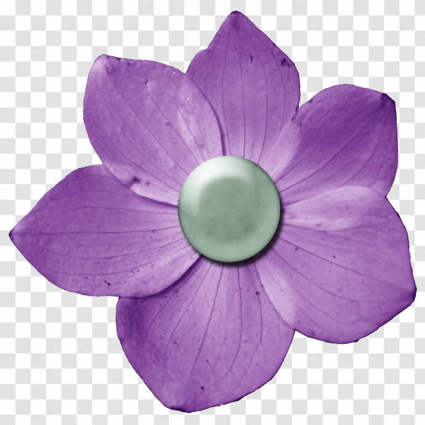 Flower Digital Scrapbooking Purple - Violet Family - Dark Transparent PNG
