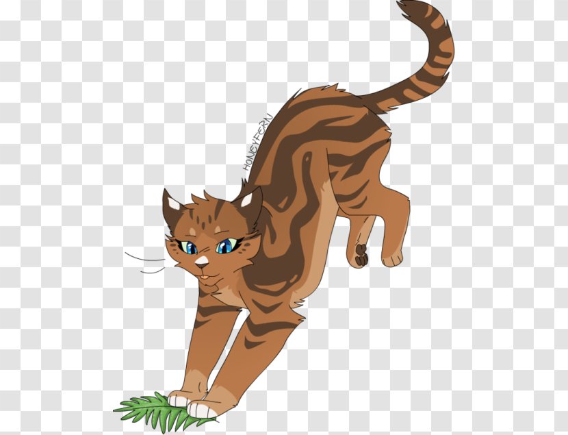 Whiskers Kitten Wildcat Canidae Transparent PNG