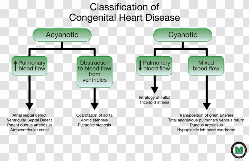 Congenital Heart Defect Cardiovascular Disease Cyanotic - Organization - Care For Transparent PNG