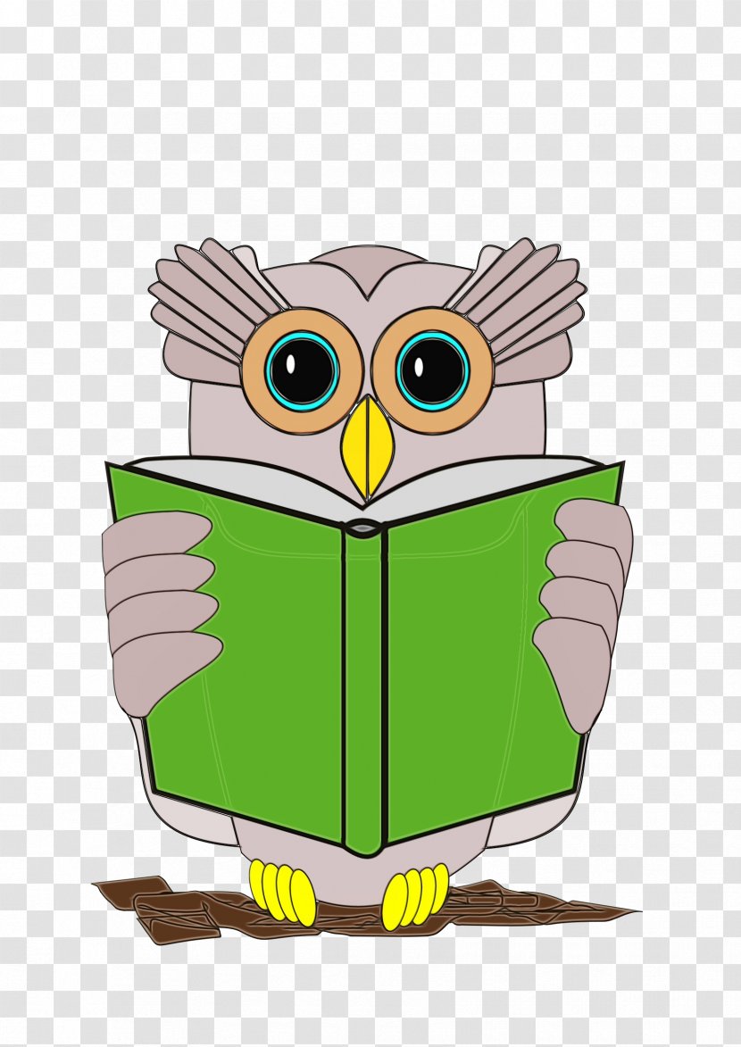Owl Book Transparency Review Reading - Bird Green Transparent PNG