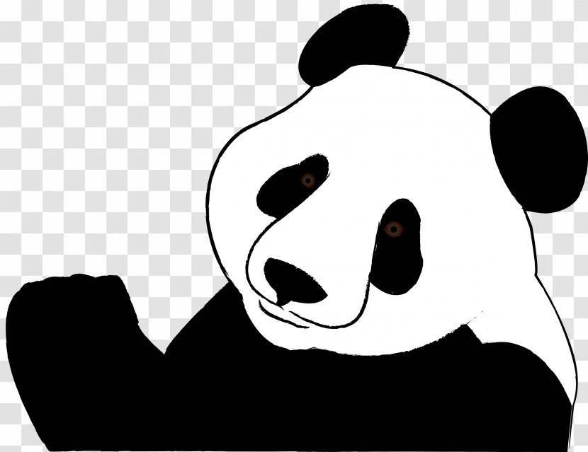 Giant Panda Red Bear Black And White Clip Art - Frame Transparent PNG